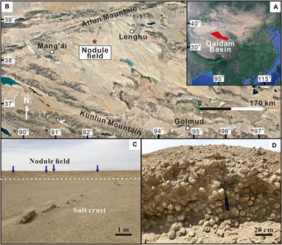 Taphonomy of biosignatures in carbonate nodules from the Mars-analog Qaidam Basin: constraints from microscopic, spectroscopic, and geochemical analyses